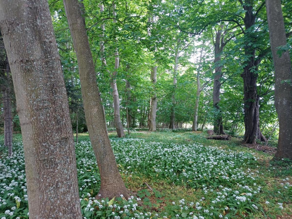 Apartment In Danmark -Petersminde Exclusive Apartments Otterup ภายนอก รูปภาพ