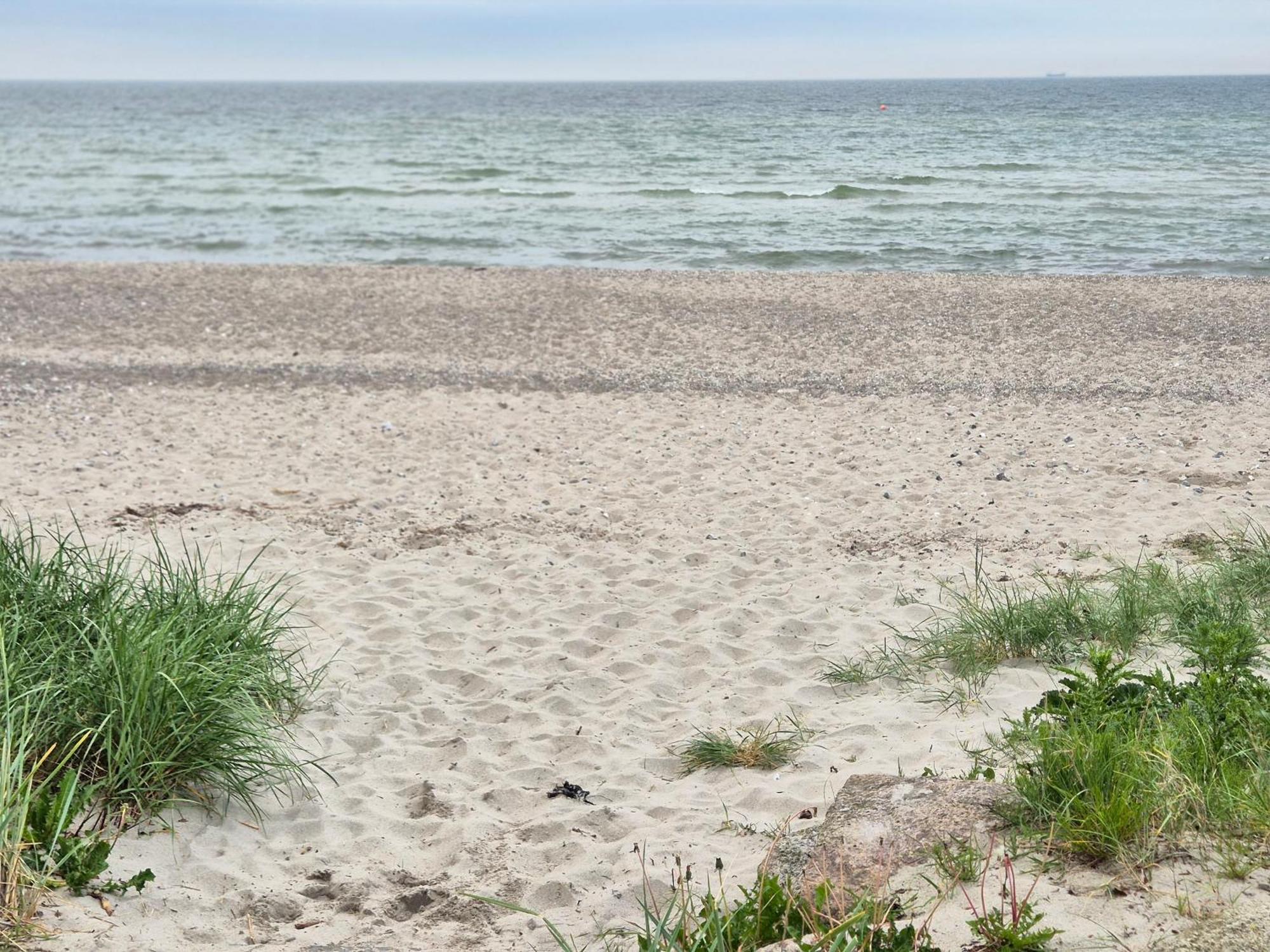 Apartment In Danmark -Petersminde Exclusive Apartments Otterup ภายนอก รูปภาพ